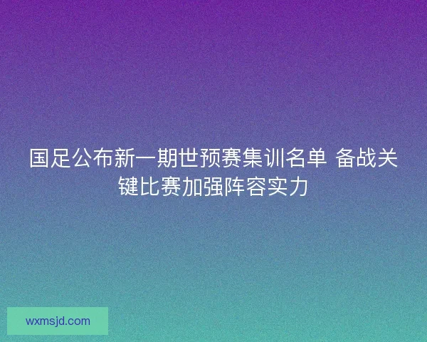 国足公布新一期世预赛集训名单 备战关键比赛加强阵容实力