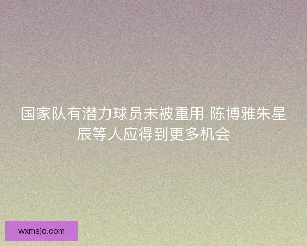 国家队有潜力球员未被重用 陈博雅朱星辰等人应得到更多机会