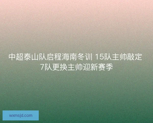 中超泰山队启程海南冬训 15队主帅敲定 7队更换主帅迎新赛季 中超泰山队启程海南冬训 15队主帅敲定 7队更换主帅迎新赛季
