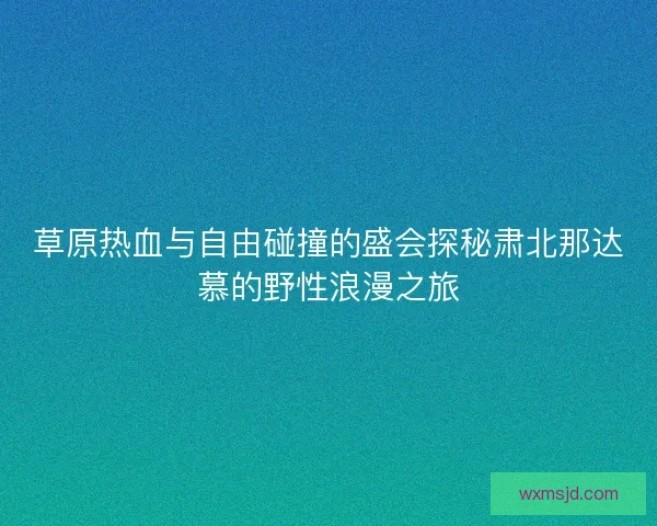 草原热血与自由碰撞的盛会探秘肃北那达慕的野性浪漫之旅