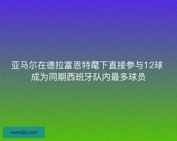 亚马尔在德拉富恩特麾下直接参与12球 成为同期西班牙队内最多球员 亚马尔在德拉富恩特麾下直接参与12球 成为同期西班牙队内最多球员
