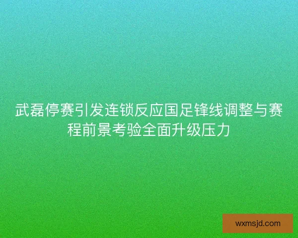 武磊停赛引发连锁反应国足锋线调整与赛程前景考验全面升级压力